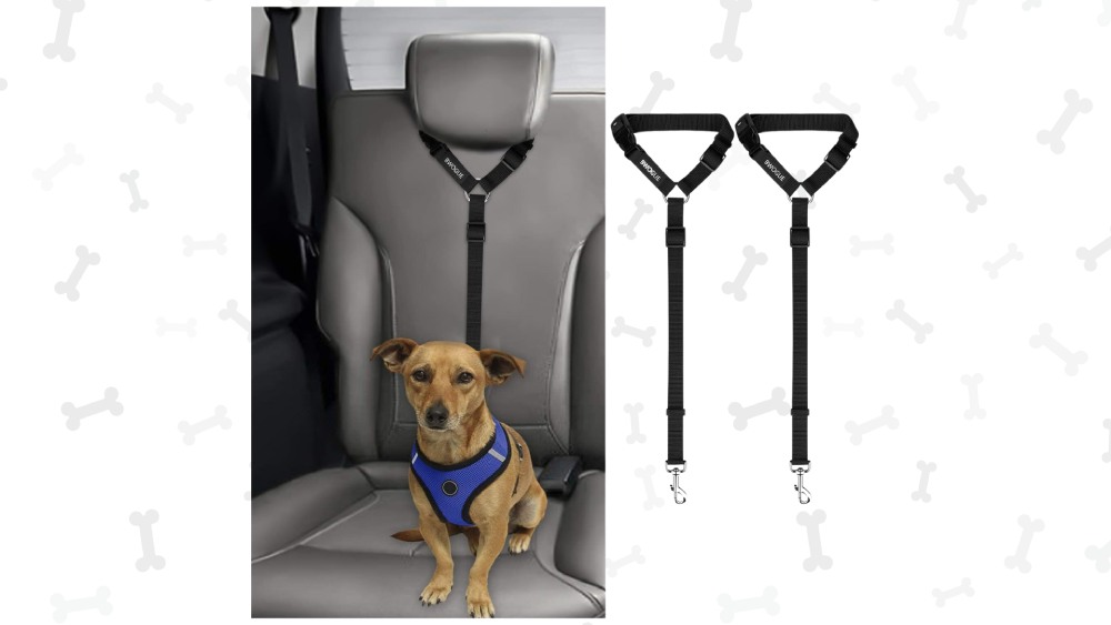 Seatbelt harness for dogs