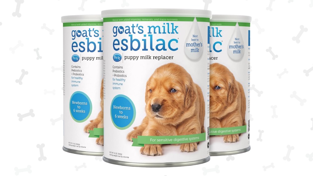 Gift Ideas for Fur Moms