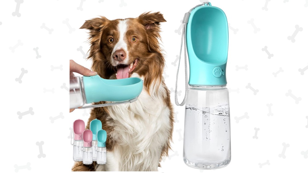 Water bottle for dogs water dispenser