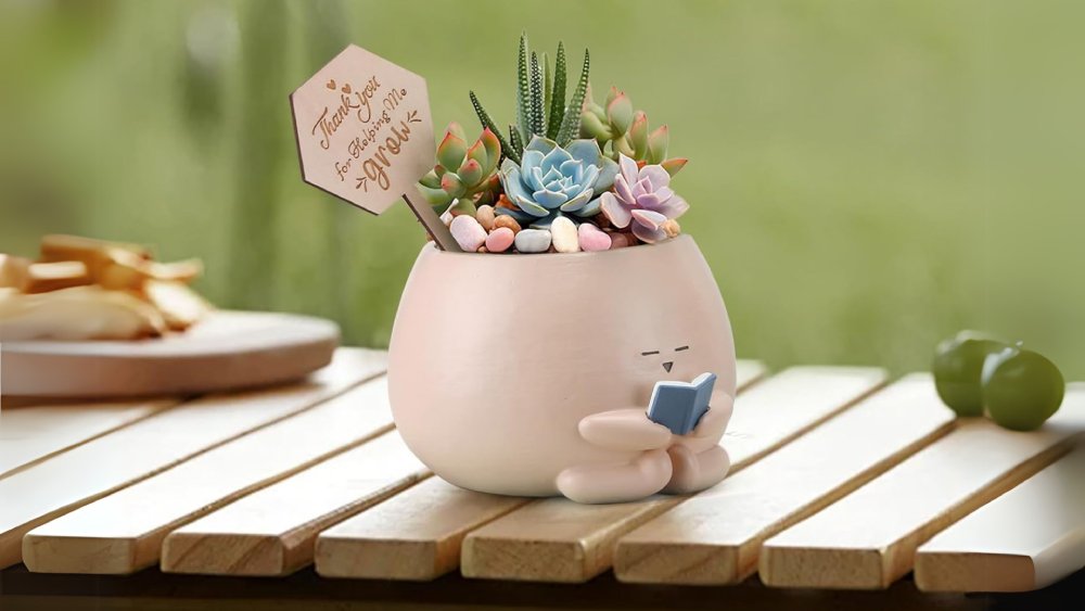 Bookworm Succulent Pot