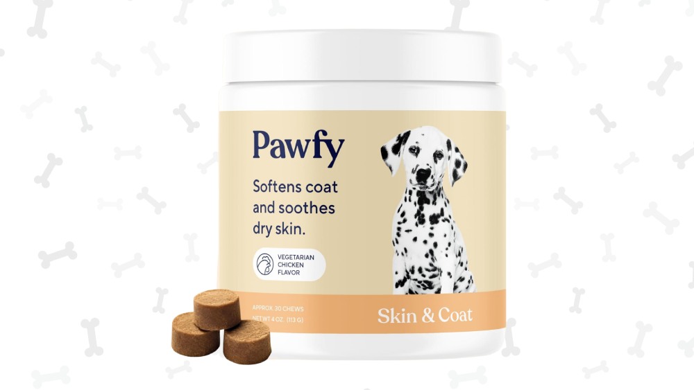 Gift Ideas for Fur Moms