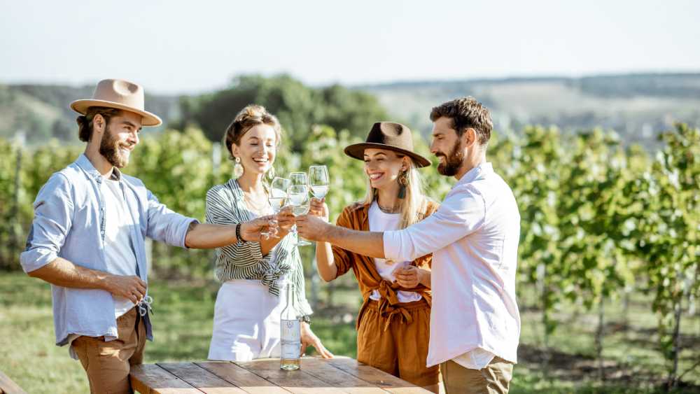 Wine tasting at the vineyard