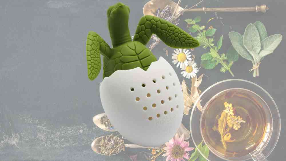 Turtle Tea Infuser Gift Ideas for Tea Lovers