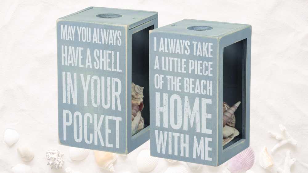 Seashell holder decoration