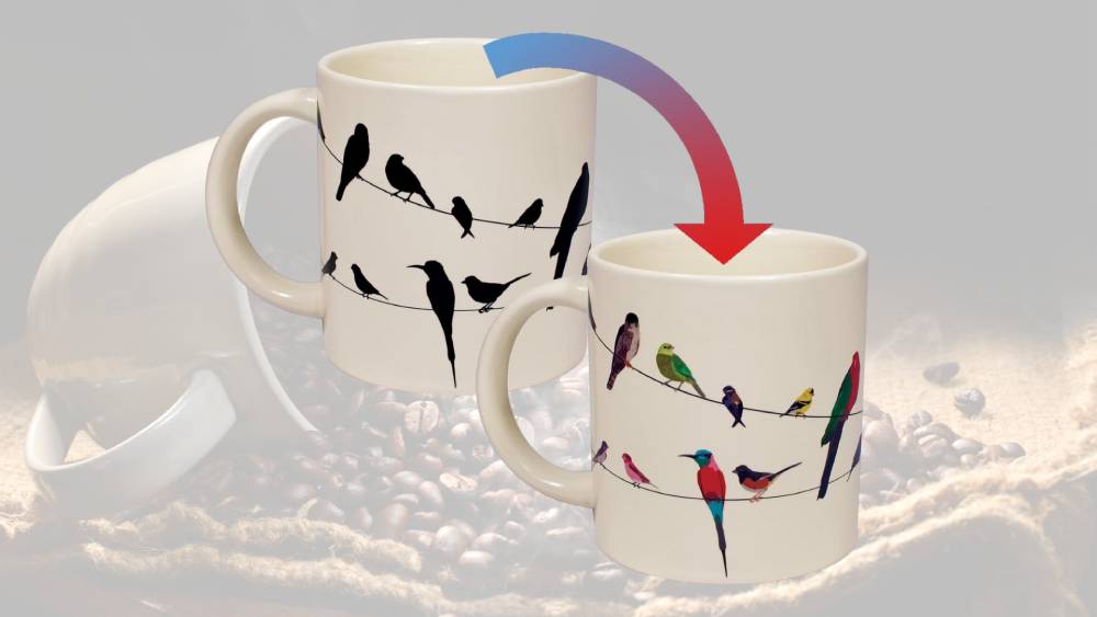Heat Changing Mug