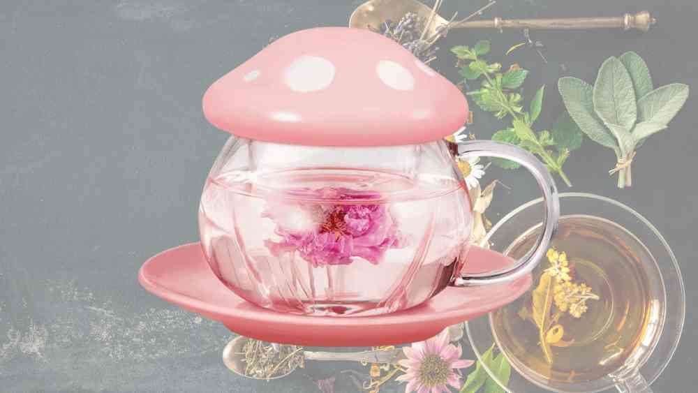 Cute Glass Tea Cup with an Infuser and Lid