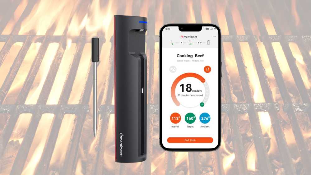 WiFi Wireless Meat Thermometer