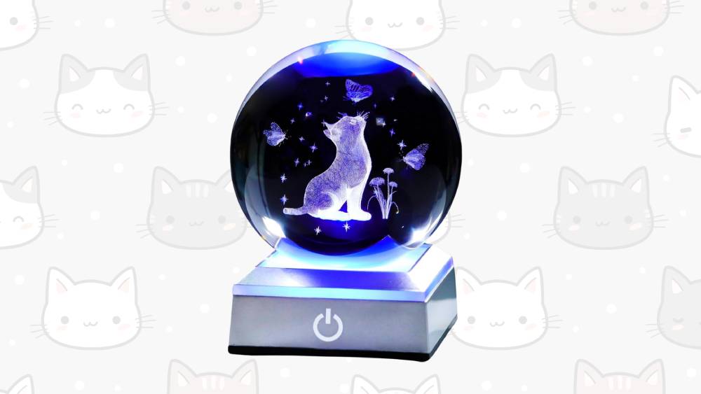 Cat Butterfly and Carnation with LED Light