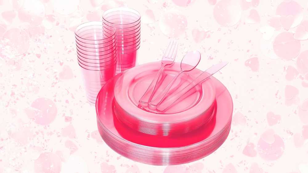 Pink Disposable Dinnerware Set
