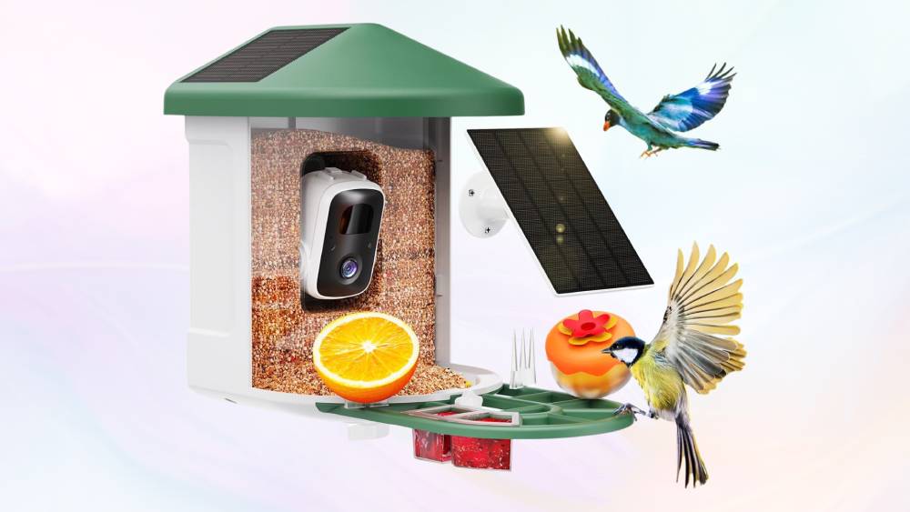 Bird Feeder with Camera with AI Identify