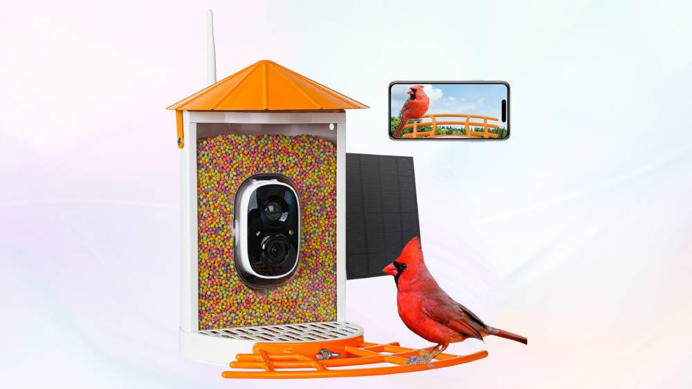 Smart Bird Feeder Camera