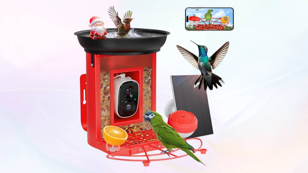 Experience with this 2K Bird Feeder Camera