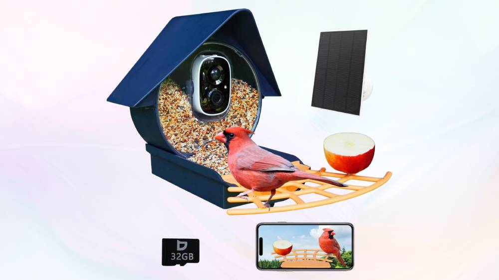 Feeder with AI bird species identification