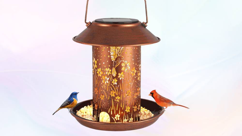 Hummingbird Solar Lantern Bird Feeders