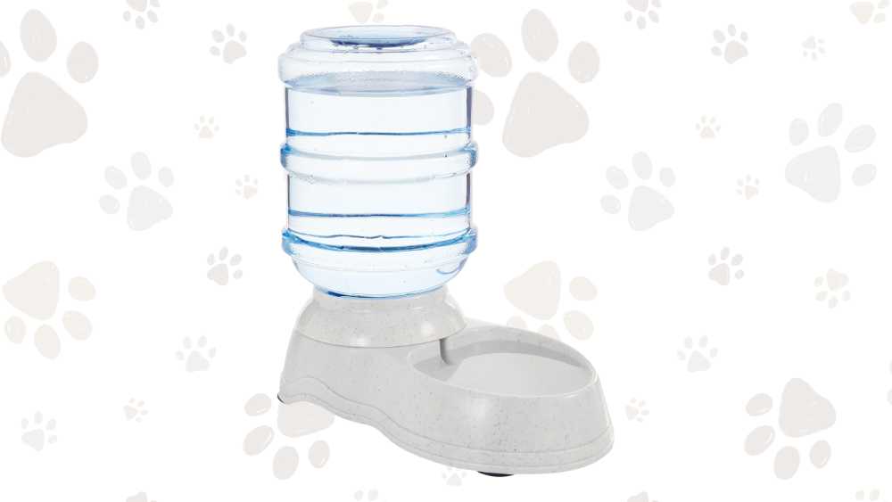 Basics Gravity Pet Water Dispenser