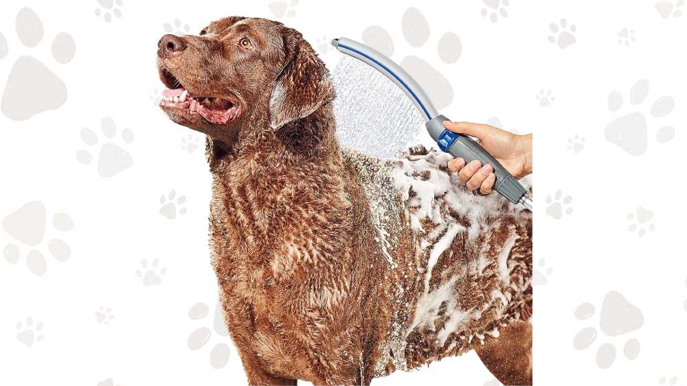 Dog Shower Attachment