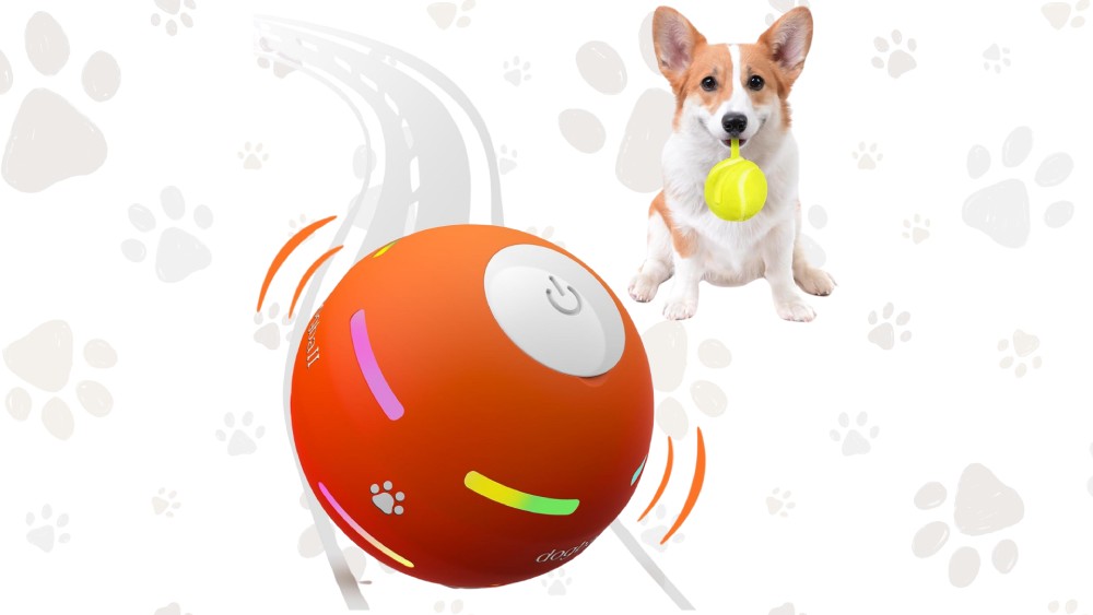 Motion-activated automatic rolling ball toy
