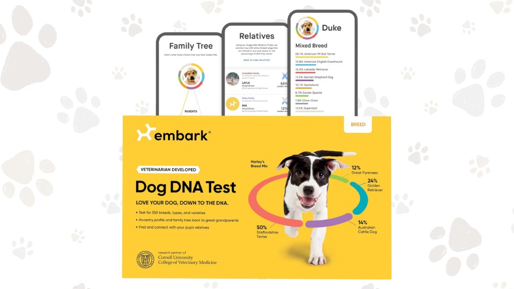 Pet Identification Kit