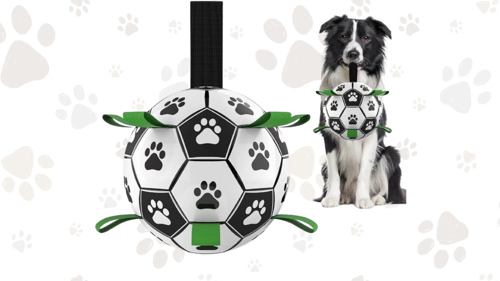 Interactive dog soccer ball