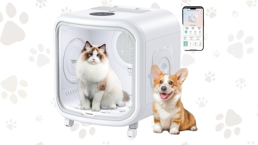 Ultra-quiet cat dryer box