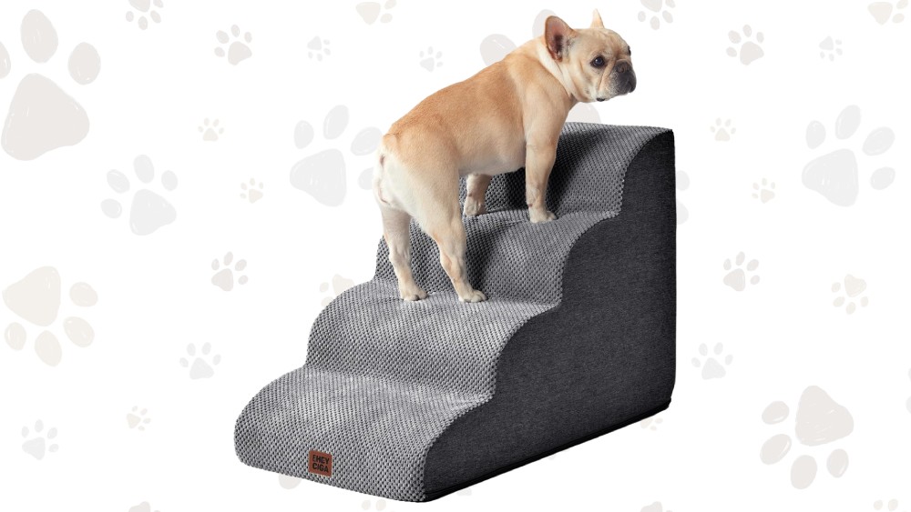 Curved 4-step pet ramp