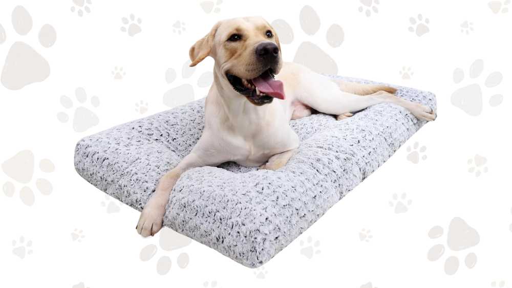 Dog bed deluxe plush design