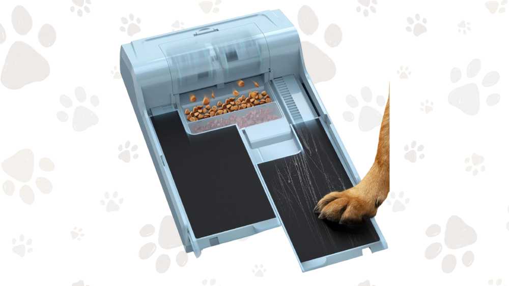 Fun Nail File Toy
