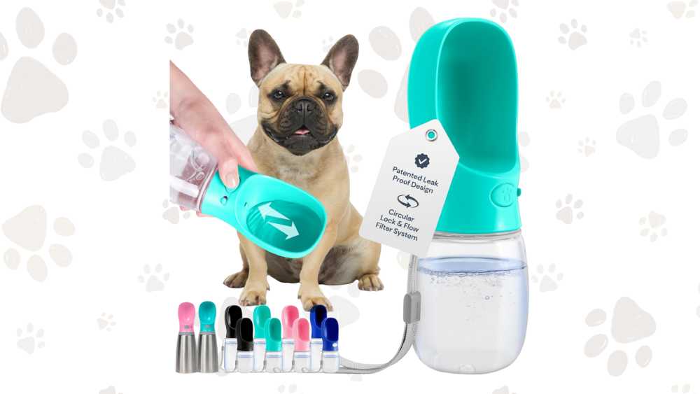 Leak-Proof Dog Water Bottle